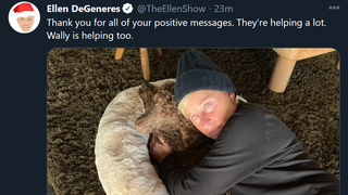 Just Some Photos of Ellen DeGeneres